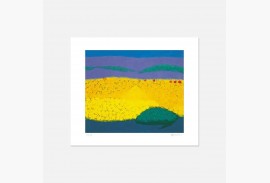 Mountain 1979